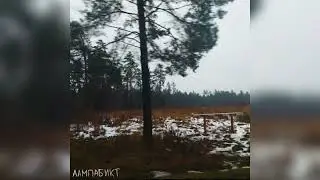 объятья - лампабикт кавер