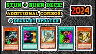 STUN + BURN 2024 / Decklist Updated / King Tiger Wanghu + Chain Energy + Cauldron of the Old Man 9