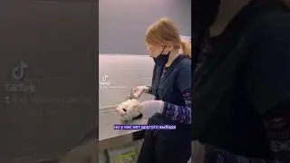 Приём в ветклинике ВетСервис Одесса тел: 0937594389 #ветклиникаодесса