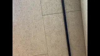 Nerd Connection 라이브 스트림이 시작됩니다