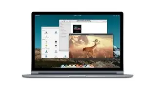 Best 5 Alternative OS to Windows