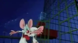 Pinky and the Brain Intro [Remix by New Source]