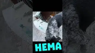 НА ПРОВЕРКЕ  #ахахахах  #ТЦК  #юмор #УКР