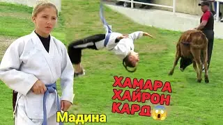 Мадина пахлавон духтари точик ҲАМАРА ДАР ҲАЙРАТ МОНД😲😱 Гуштини Кургонтеппа 2022 - Гуштин 2022