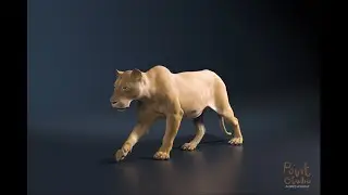 Houdini vellum tissue simulation