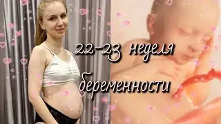 22-23 неделя беременности. Мои симптомы и ощущения.