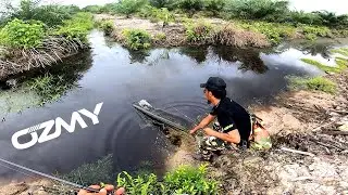 CASTING HARUAN LADANG SAWIT 2