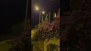Абдуллох домла Аллох кечириши