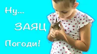 Веселые Каникулы у Бабушки и Настоящий Дикий Заяц | НУ ЗАЯЦ ПОГОДИ