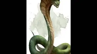 DnD Monster Manual  #5 Naga
