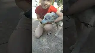 красивый ты мардаш