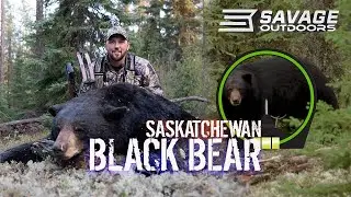 GIANT BLACK BEAR with BOW - (Over 7ft) SASKATCHEWAN, CANADA