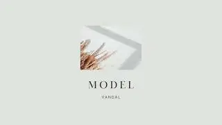 Squito - Model