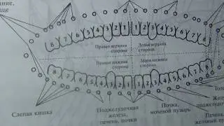 Зубы. Лечение кариеса без стоматолога.