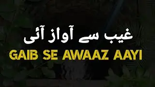 🦌Hiran ko Pani kese Mila Gain se awaaz aayi |Molana Tariq Jameel New bayan status|Tariq Jameel|