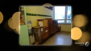 Пчеловодство где как и какими приспособлениями