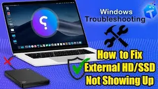 How to Fix External Drive Not Showing Up on Windows [2024]