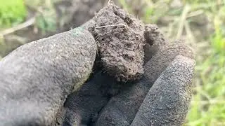 Пытаюсь копать с АКА Интроник СТФ.;););)