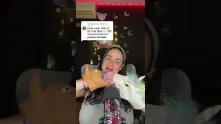 #asmr