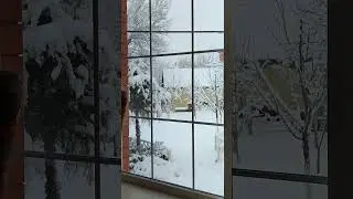 снег