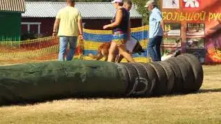 7.08.22 БРР Полазна Чемпионат РКФ, 1 раздел послушание