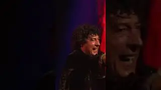No sabíamos cómo festejar el millón y una voz que oímos por ahí dijo algo sobre un cinturón gris! 🦎