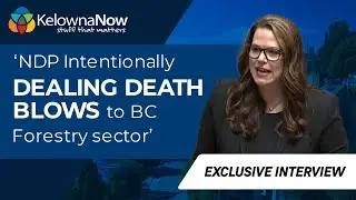 NDP intentionally 'dealing death blows' to BC forestry sector, Kelowna MLA says