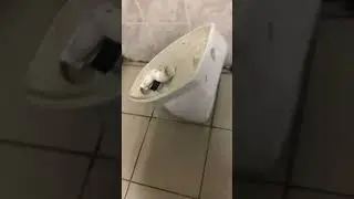 15 ноября 2022 г.