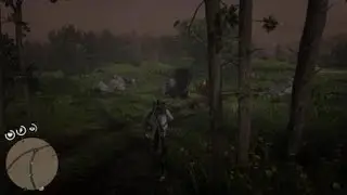 Red Dead Redemption 2_20181106170815