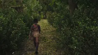 Assassin's Creed Shadows Hideout Tour - Lost In The Woods