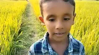 Chawal ke khet mei Pani dekhne ko gaya 