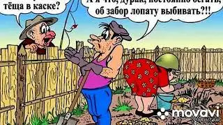 12 августа 2024 г.