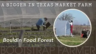 A Bigger in Texas Market Farm | Bouldin Food Forest