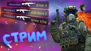 СТРИМ | Нас унижают СИЛЬВЕРЫ | CS:GO