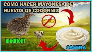 COMO HACER MAYONESA CASERA DE HUEVOS DE CODORNIZ. IMPERDIBLE