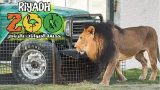 Riyadh Zoo | Saudi Arabia