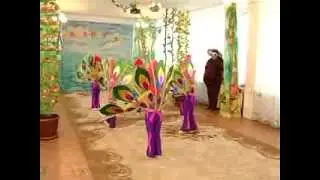 танец райских птиц