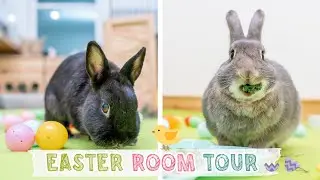 Easter Rabbit Room Tour! 🐣