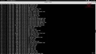 [Penetration Testing] Nmap Scripts