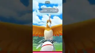 SHINY BIRD? 💫🔥