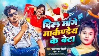 Dil Mange Mar kade Ke Beta - New Maithili Song 2024