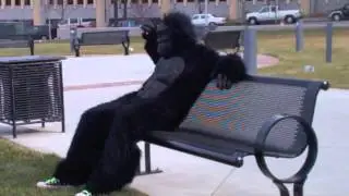 Urban Gorilla part 1
