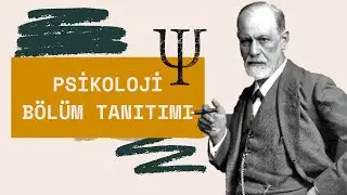 Psikoloji Bölüm Tanıtımı: Üniversiteler, Ders Programları ve İş İmkanları