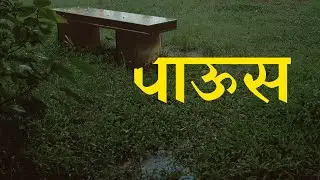 @DJI  Pocket 2 : Walking in the Rain | Peaceful Nature Walk #cinematic 🌧️पावसात एक दिवस