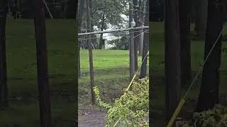Slenderman Sighting CAUGHT ON CAMERA #vfx