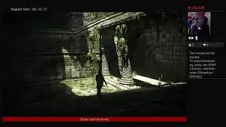 Im basicly a speed bump- shadow of the colossus