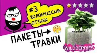 Как чудо-пакеты для рассады проявляют себя в грунте? Разбираем лучшие отзывы по теме садоводства