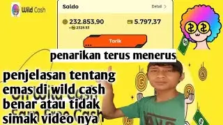 penarikan wild cash - penarikan terus menerus - penjelasan emas di wild cash