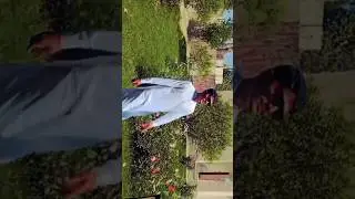 lovely video 