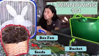 How to Winnow - Clean Your Seeds